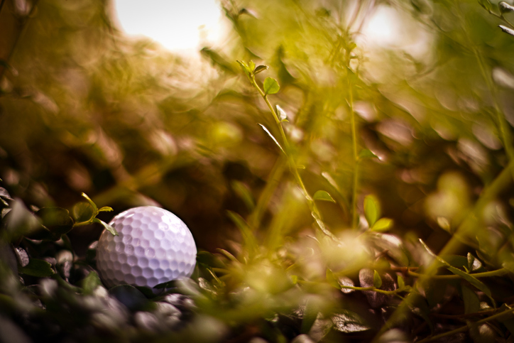 Missing, lost golf ball in rough out of fairway at golf course, golf, sport, summer concept